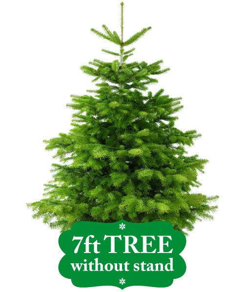 7ft Tree Without Stand