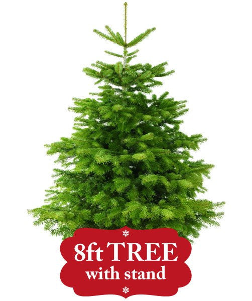 8ft Tree With Stand